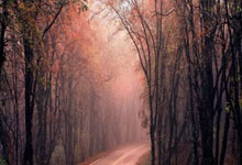 乐鱼体育登陆入口-曼城VS皇马巅峰对决：数据不会说谎！德布劳内神级助攻难掩蓝月致命短板