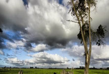 乐鱼app-当东契奇咬碎爆米花：葡萄牙出局引发的NBA蝴蝶效应