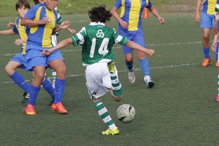 乐鱼vip注册-帕尔梅拉斯主场优势明显，球迷期待逆转奇迹