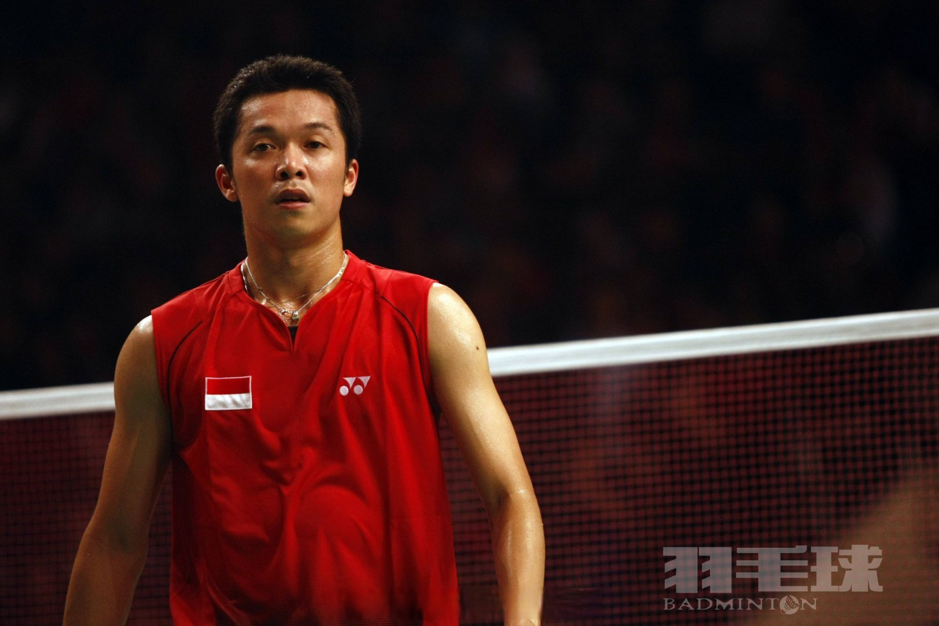 Leyu-包含马来西亚羽毛球队碾压丹麦羽毛球队，陶菲克制霸全场的词条